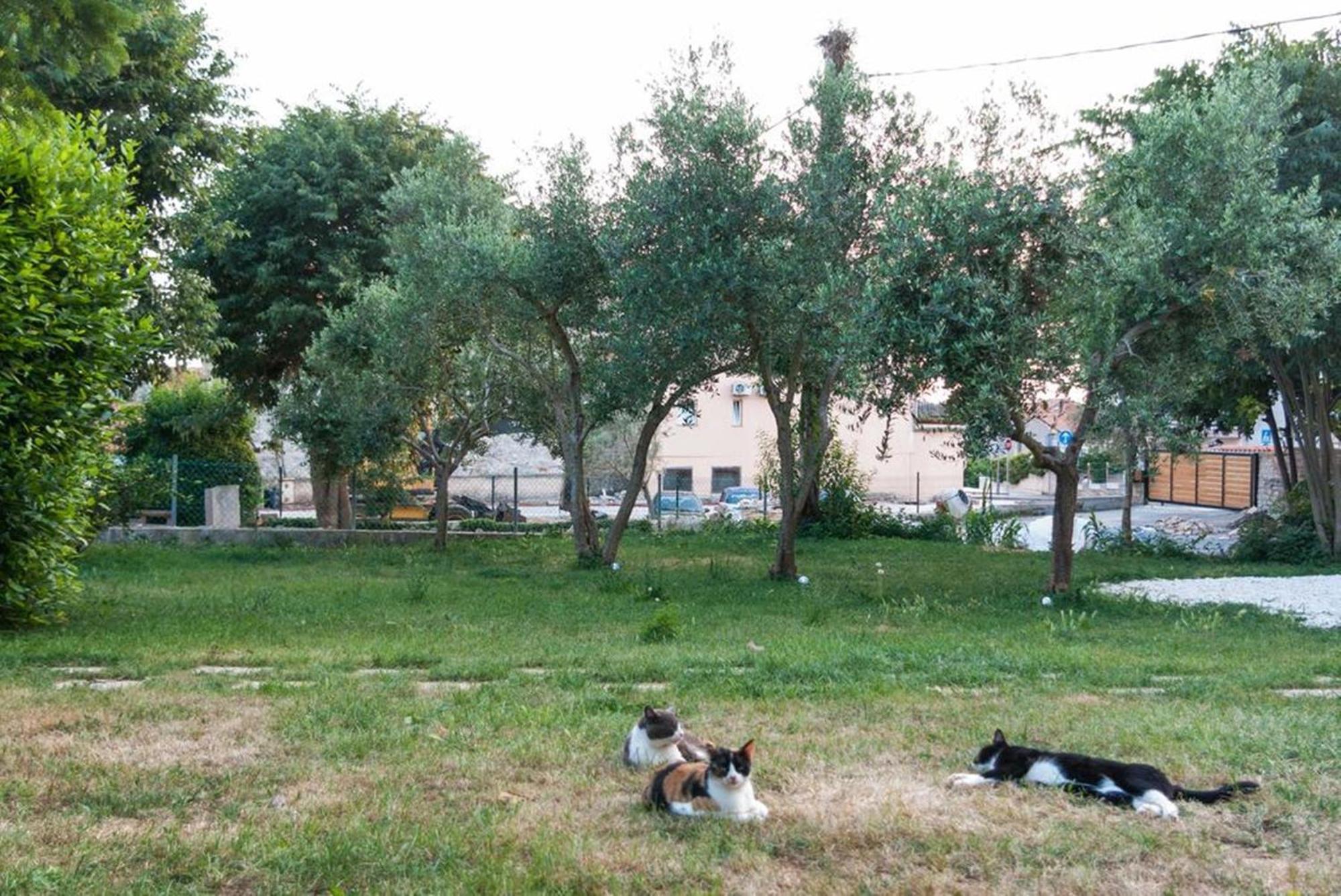 Villa Mediterranea - Apartments Medulin Pokój zdjęcie